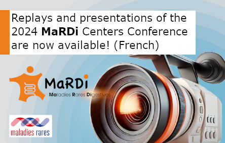 Replays and presentations of the MaRDi Centers conference